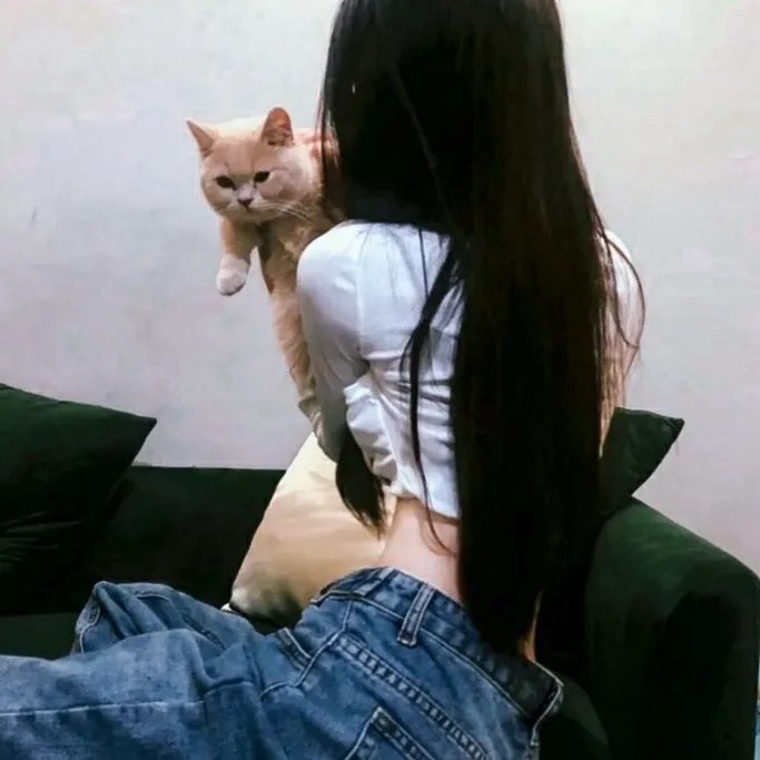 奇谋妙计五福星