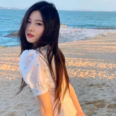 完美伴侣
